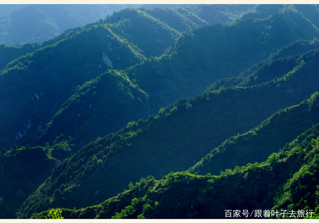 终南山翠色欲流，肆弦壹声如裂帛是什么生肖,警惕虚假宣传,全面解答解释落实