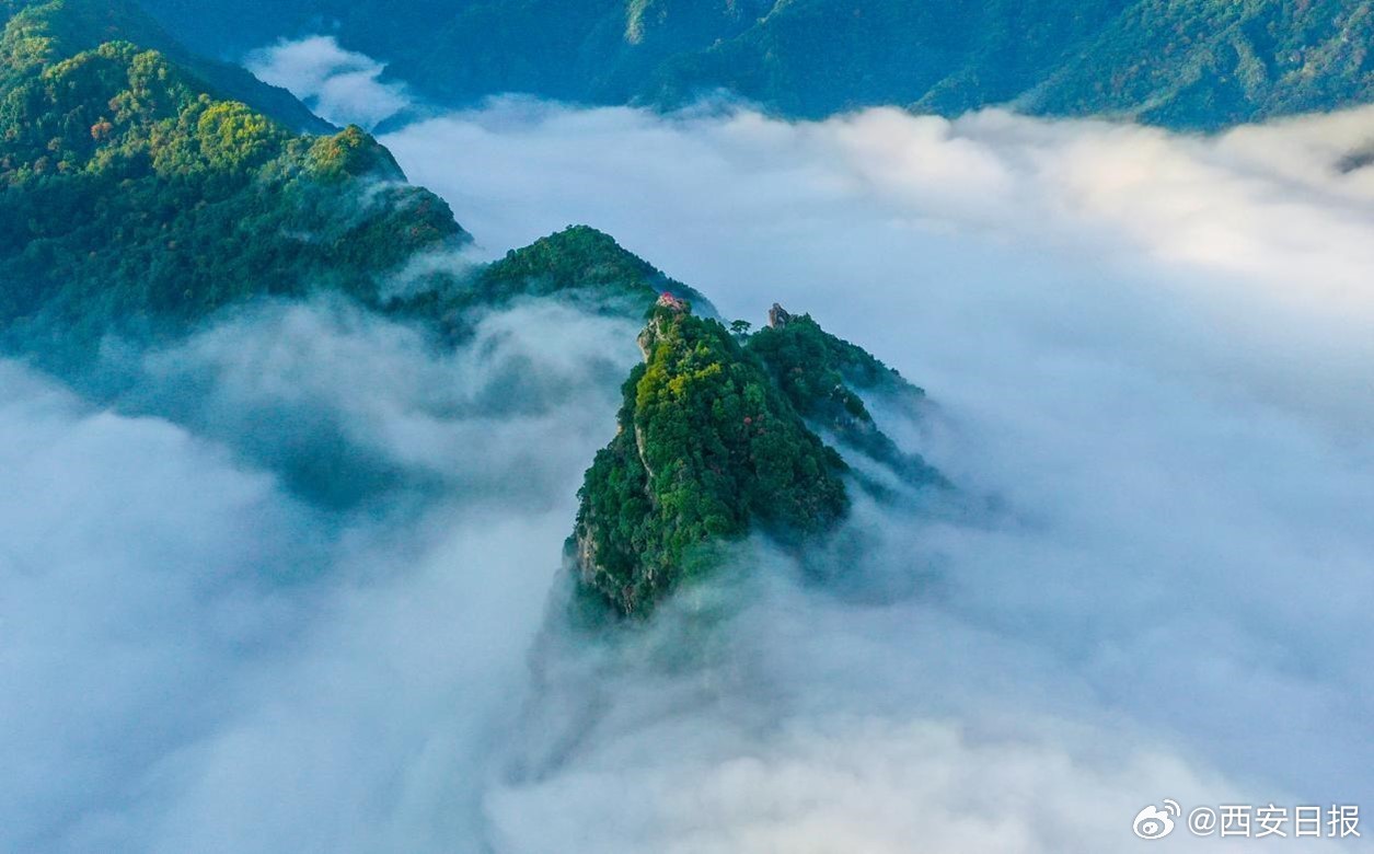 终南山翠色欲流，肆弦壹声如裂帛是什么生肖,警惕虚假宣传,全面解答解释落实