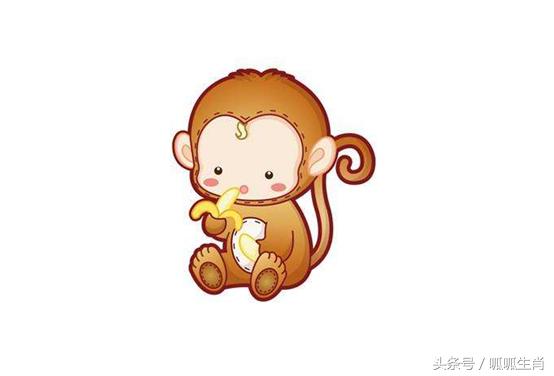 谨慎小心是什么生肖请全面2释义、解释与落实、深度解答解释落实